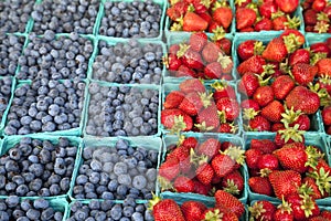 Strawberry and blueberry photo