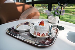 strawberry and blueberry cakes on cafe table with natural park