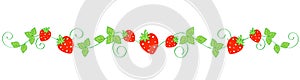 Strawberry border / divider