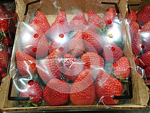 Strawberry in a box