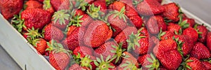 Strawberry box placed on a wooden table, healthy living concept BANNER, LONG FORMAT