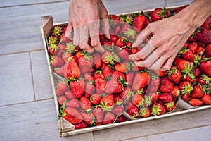 Strawberry box placed on a wooden table, healthy living concept