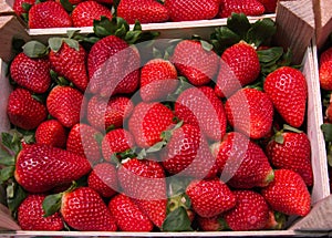 Strawberry box, with strawberry bottom