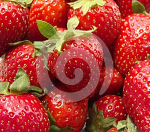 Strawberry on bunch of fresh strawberries