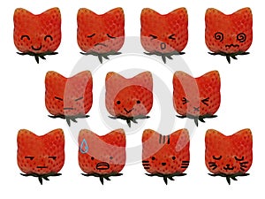 Strawberry Cat Emotions