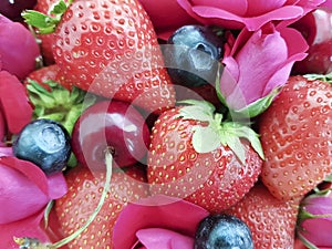strawberry cherry, blueberry dessert refreshment rose flower background