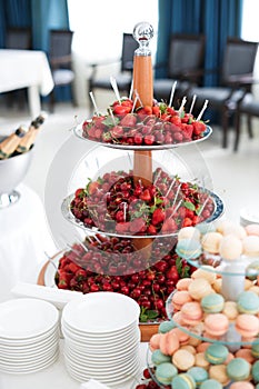 Strawberry and Cherry on a Plate