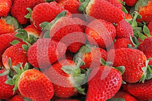 Strawberry close up photo
