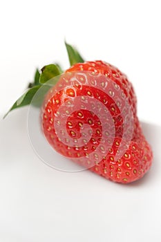 Strawberry Closeup on White Plate