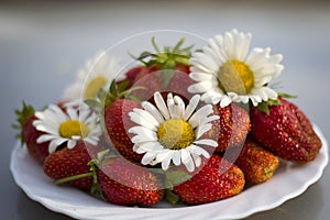 Strawberry with colours of a camomile