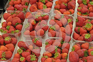 Strawberry containers for sale at fruit vandor