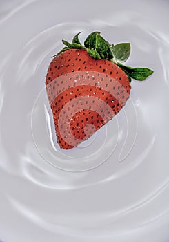 Strawberry in Cream