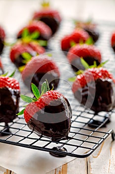 Strawberry dessert, Dark chocolate covered strawberries, fresh strawberries dipped in melted dark chocolate photo