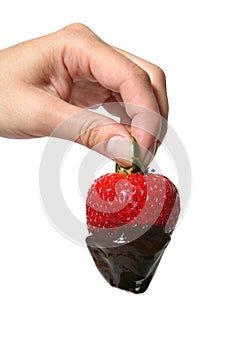 Strawberry Dipped in Chocolate photo