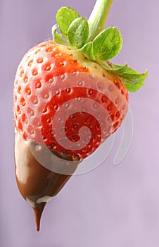 Strawberry dipped in chocolate