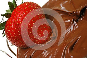 Strawberry Dipped in Creamy Chocolate