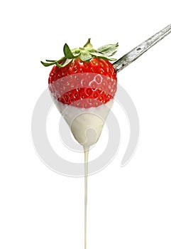 Strawberry dipped in white chocolate fondue photo