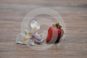 A strawberry displayed with an African Iris