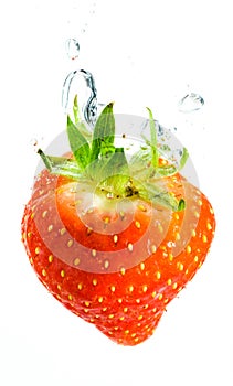 Strawberry falls deeply under water with a big splash. Fruit sinking in clear water on white background