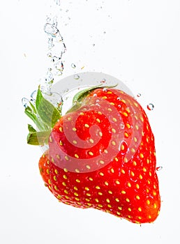 Strawberry falls deeply under water with a big splash. Fruit sinking in clear water on white background