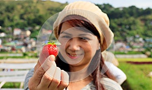Strawberry Farm in Baguio City, Philippines