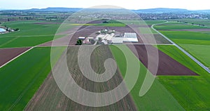 Strawberry field, against the backdrop of a large heat complex. Flight over the agricultural zone