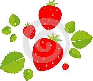Strawberry Flat Design Vector Illustration Isolated on White Background
