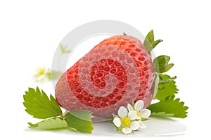Strawberry and flowers