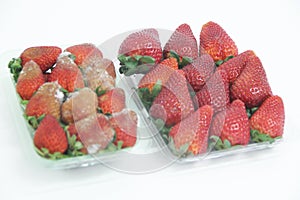 Strawberry food agriculture isolated mold delicious healthful fruit Sao Paulo Brazil