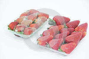 Strawberry food agriculture isolated mold delicious healthful fruit Sao Paulo Brazil