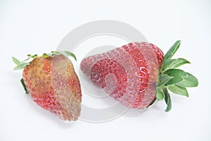 Strawberry food agriculture isolated mold delicious healthful fruit Sao Paulo Brazil