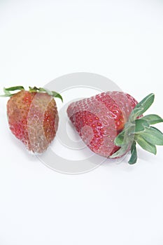 Strawberry food agriculture isolated mold delicious healthful fruit Sao Paulo Brazil
