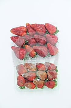 Strawberry food agriculture isolated vitamin delicious healthful fruit Sao Paulo Brazil