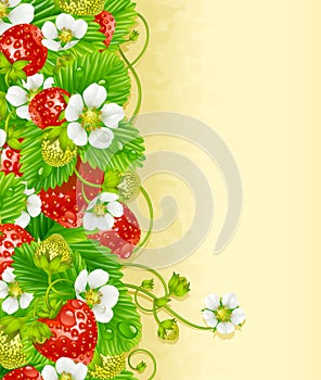 Strawberry frame 2. Red berry and white flower