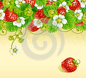 Strawberry frame 3. Red berry and white flower