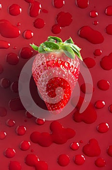 Strawberry Fresh One