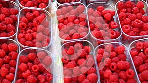 Strawberry Fruit Macro shot India