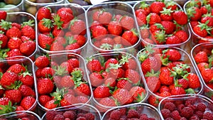 Strawberry Fruit Macro shot India