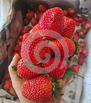 strawberry fruit sweet taste delicious