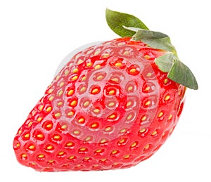 Strawberry fruits