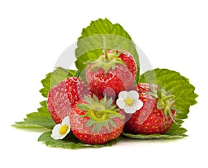 Strawberry fruits with flowers and green leaves