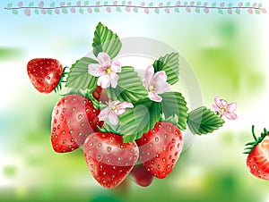 Strawberry on a green tones background