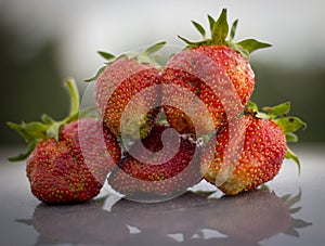 Strawberry on a grey background