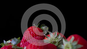 Strawberry group on a black background