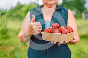 Strawberry growers with harvest. Farmer woman hands with fresh strawberries in eco paper box in the garden on a farmers