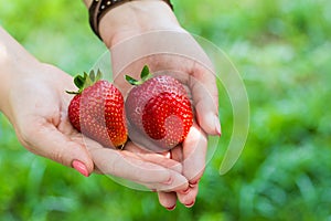Strawberry hand