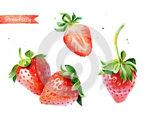 Strawberry hand-painted watercolor illustration set, whole berries and cut