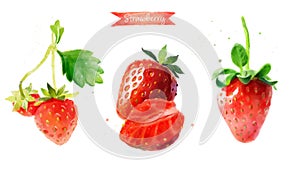 Strawberry hand-painted watercolor illustration set, whole berries and cut