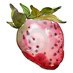Strawberry healthy food in a watercolor style isolated. Watercolor background set. Isolated berry illustration element.