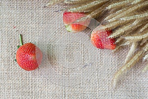 Strawberry hemp bags